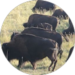 Profile photo of Oops Oh