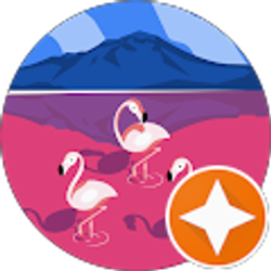 Profile photo of M F