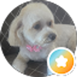 Profile photo of Cynthia Wagner