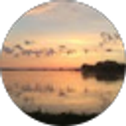 Profile photo of P Moreno
