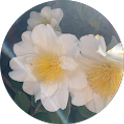 Profile photo of Lex