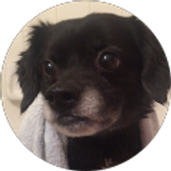 Profile photo of Melissa Martinez