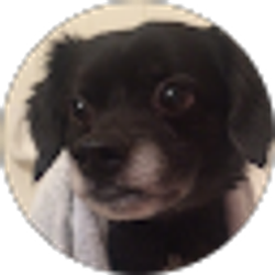 Profile photo of Melissa Martinez