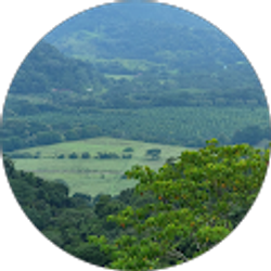 Profile photo of Jameel LLC