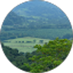 Profile photo of Jameel LLC