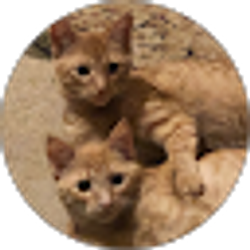 Profile photo of Daniel Lordi