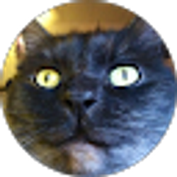 Profile photo of Amber Trudel