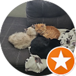 Profile photo of Caleb Williams