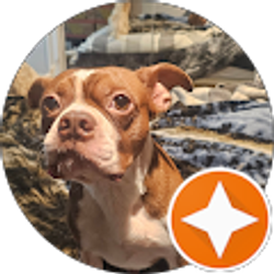 Profile photo of Michael Ronchi