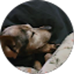 Profile photo of Virginia Hamorski