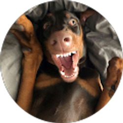 Profile photo of Al Kasiba