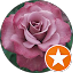 Profile photo of Valerie Warner