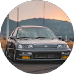 Profile photo of Nelly Valle