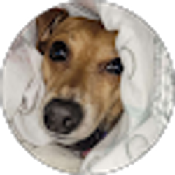 Profile photo of Mindy Kidd