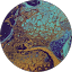 Profile photo of Deandrea Wilson