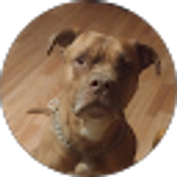 Profile photo of Shane Crowe
