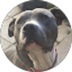 Profile photo of Elizabeth Hernandez