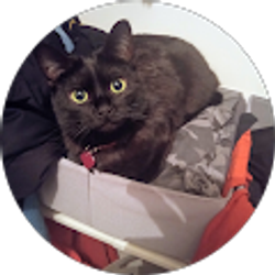 Profile photo of Couldbeworse