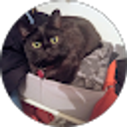 Profile photo of Couldbeworse