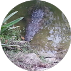 Profile photo of Dustin Scripter