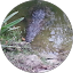 Profile photo of Dustin Scripter