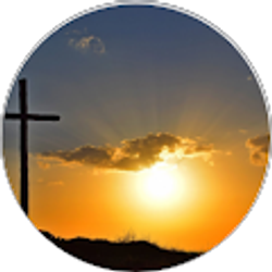 Profile photo of Robert Roche