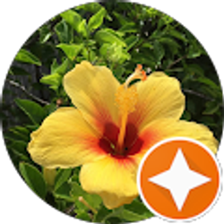 Profile photo of N M