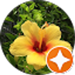 Profile photo of N M