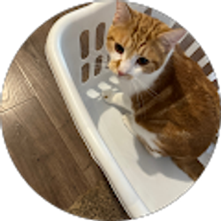 Profile photo of Justin Minne