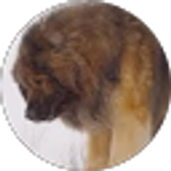 Profile photo of Jennifer Smith