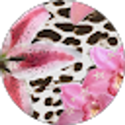 Profile photo of Sofia Geraci