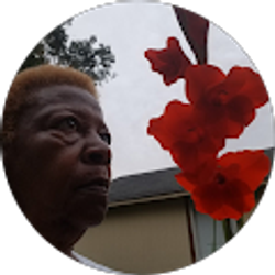 Profile photo of Dorothy Thomas