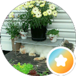 Profile photo of Brenda Crafts
