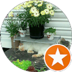 Profile photo of Brenda Crafts