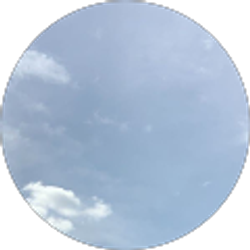 Profile photo of mallory link