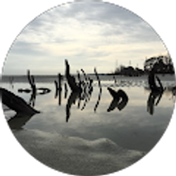 Profile photo of Brooke McArthur