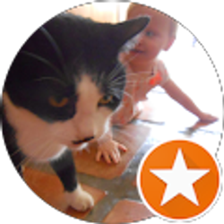 Profile photo of Craig Staples