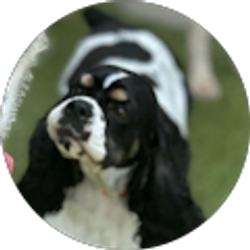 Profile photo of Mary Ann and Eugene Jarusinski