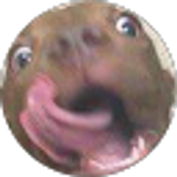 Profile photo of Habani Foo