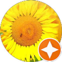 Profile photo of Ann Dandl