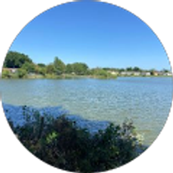 Profile photo of luis carrillo