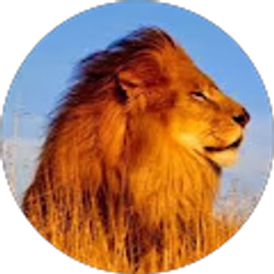 Profile photo of Vigen Yengoyan