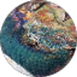 Profile photo of Ellis Yilmaz