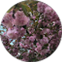 Profile photo of Hannah Haigh
