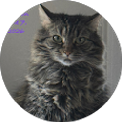 Profile photo of Teri Evans McKee