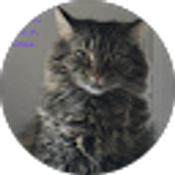 Profile photo of Teri Evans McKee