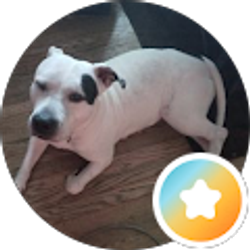 Profile photo of Bella Evans