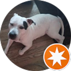 Profile photo of Bella Evans