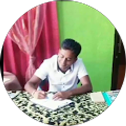Profile photo of Mohammad Ashrafmia