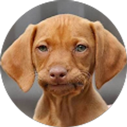 Profile photo of Zach B